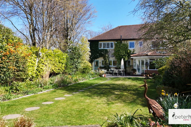 Outside - Picture 25 of 29