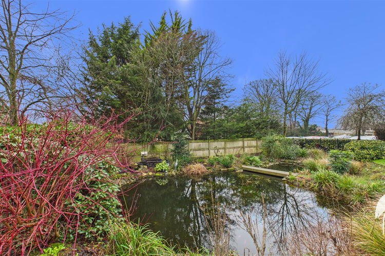 Outside - Picture 28 of 32