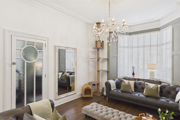 Lounge - Picture 3 of 30