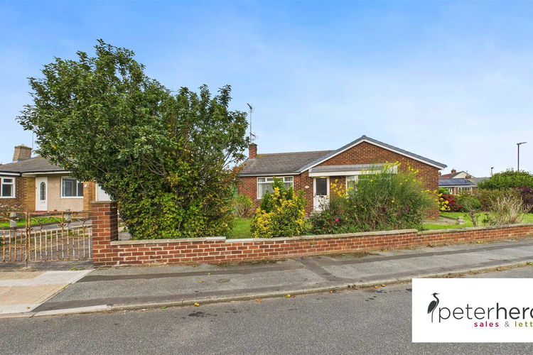 Outside - Picture 11 of 11