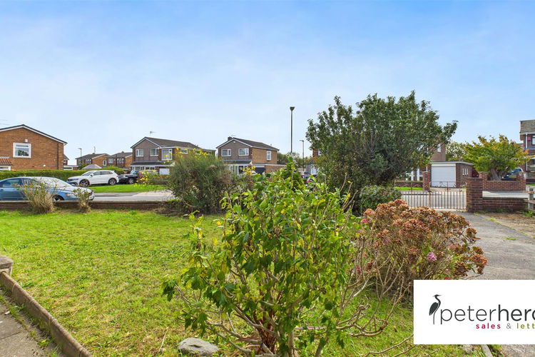 Outside - Picture 8 of 11