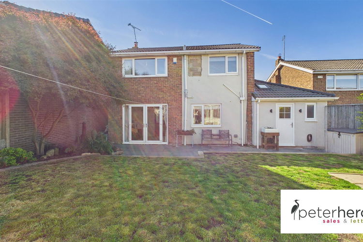 Outside - Picture 29 of 29