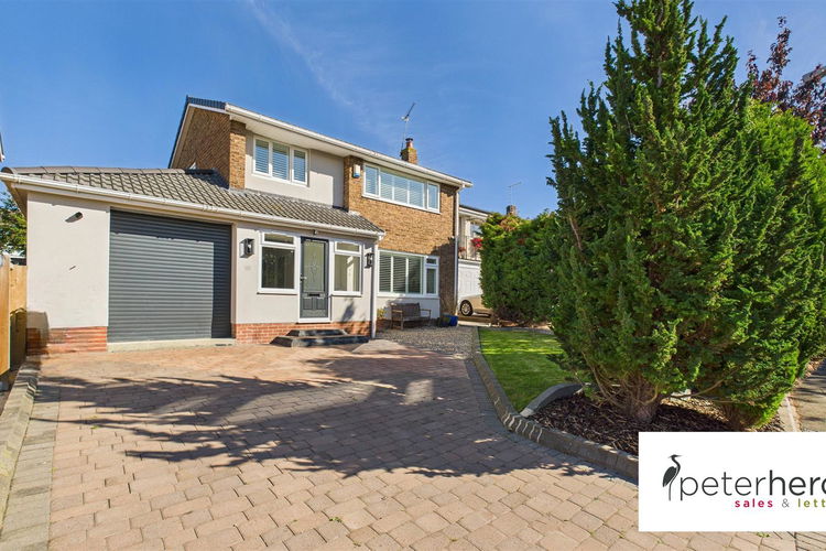 CAM05632G0-PR0056-STILL036.jpg - Picture 1 of 29