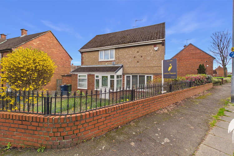 CAM05632G0-PR0195-STILL003.jpg - Picture 17 of 17