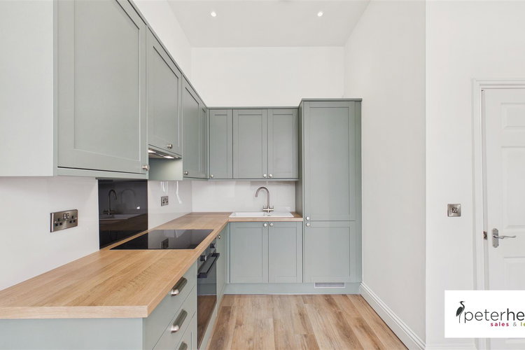 Kitchen/Living Area - Picture 5 of 16
