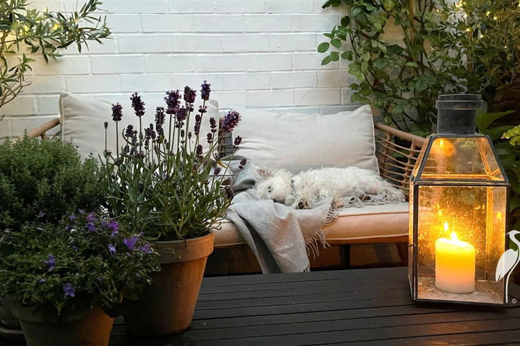 Outside - Picture 34 of 35