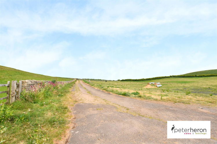 Surrounding Fields - Picture 16 of 20