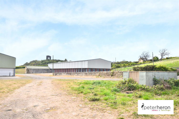 Surrounding Fields - Picture 17 of 20