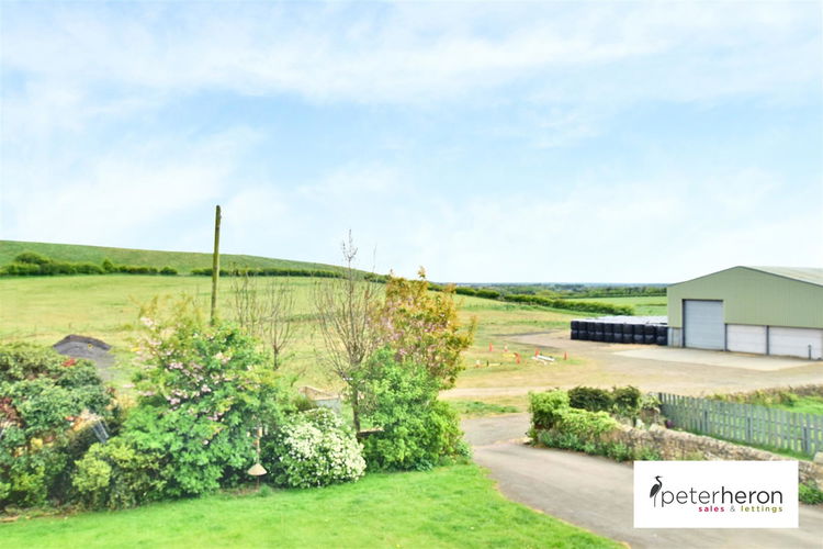 Surrounding Fields - Picture 19 of 20