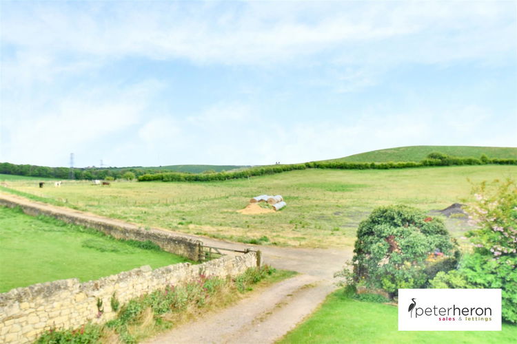 Surrounding Fields - Picture 20 of 20
