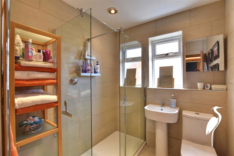 Shower Room - Picture 17 of 29