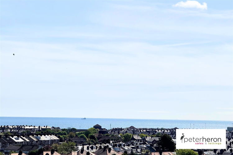 City Skyline Views - Picture 20 of 23