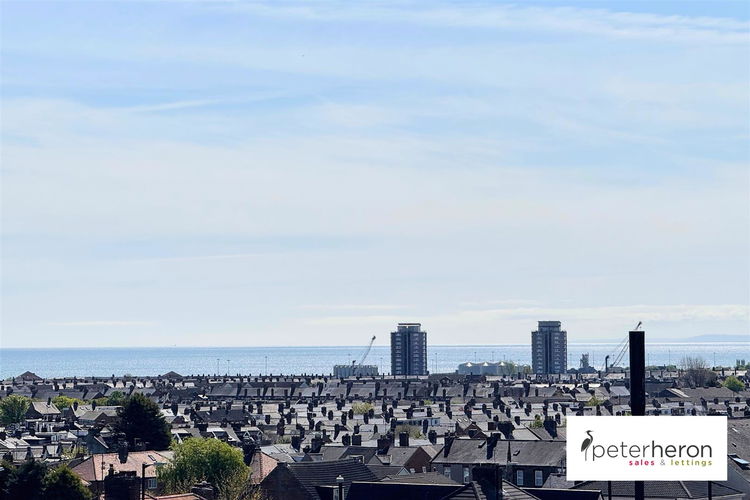City Skyline Views - Picture 21 of 23