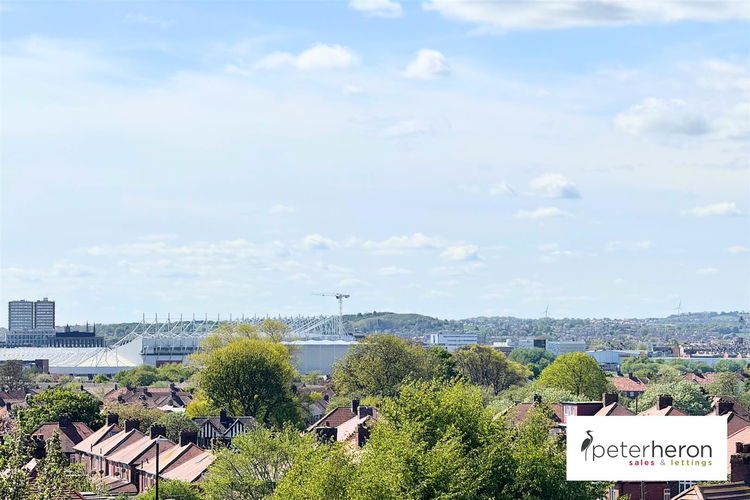 City Skyline Views - Picture 22 of 23