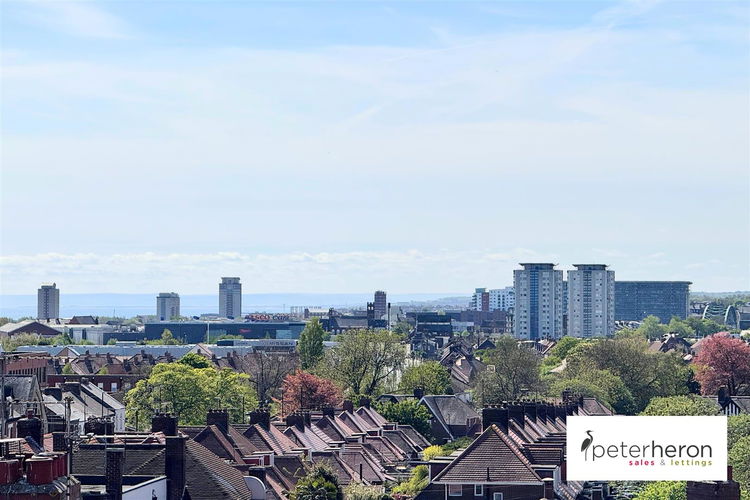 City Skyline Views - Picture 23 of 23