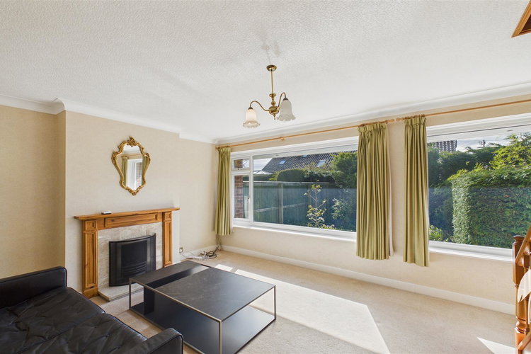 Lounge - Picture 3 of 30