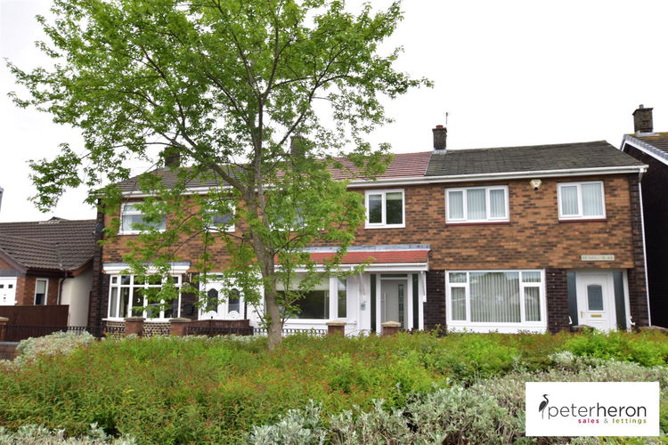 DSC_0559.jpg - Picture 11 of 11