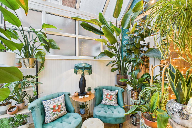 Conservatory - Picture 21 of 46