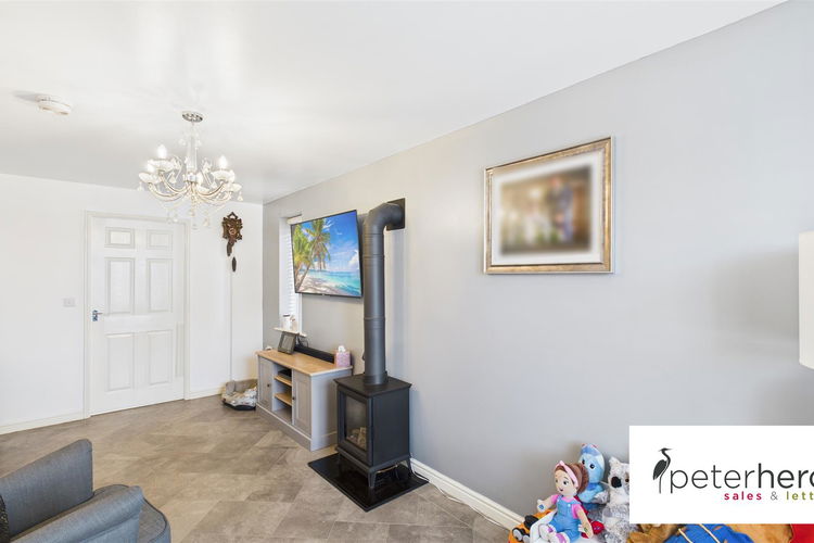 Living Room - Picture 4 of 23