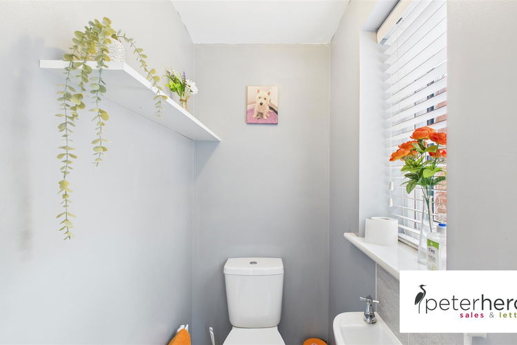 Cloakroom/WC - Picture 9 of 23