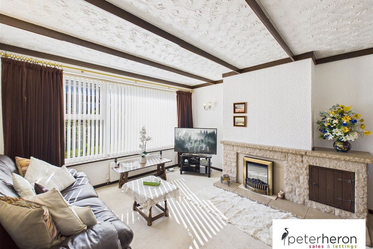 Living Room - Picture 2 of 31