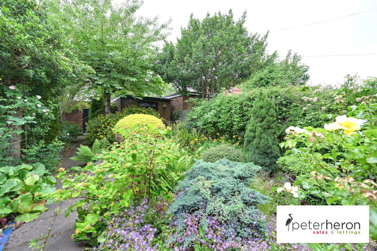 Outside - Picture 14 of 16