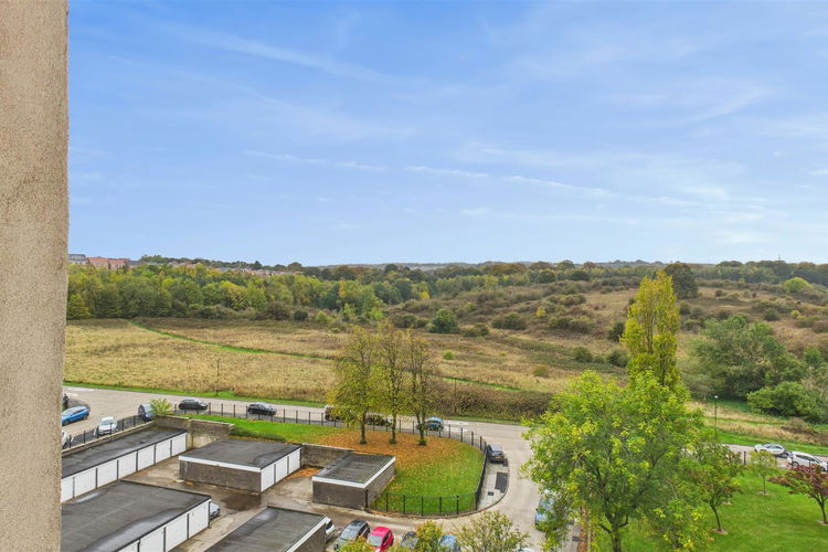 Views - Picture 18 of 20