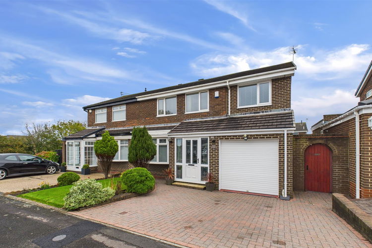 CAM03169G0-PR0104-STILL024.jpg - Picture 1 of 23