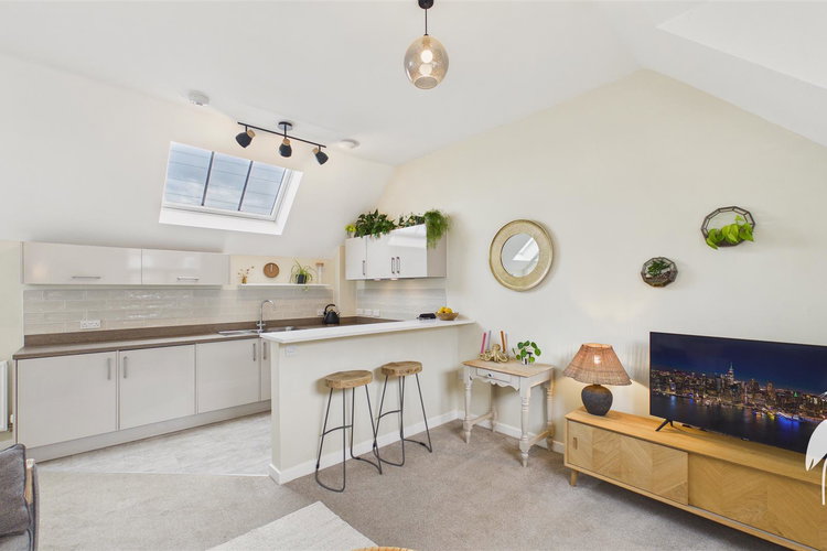 Open Plan Lounge and Kitchen - Picture 3 of 21