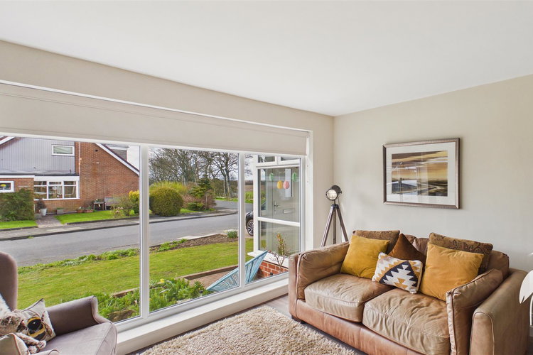 Lounge - Picture 3 of 29