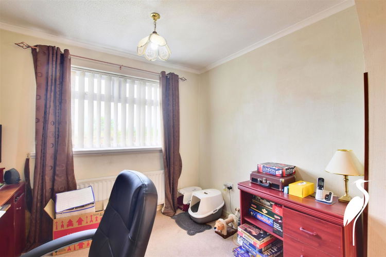 Study - Picture 10 of 26