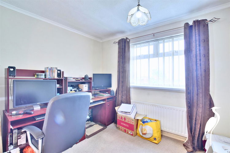 Study - Picture 11 of 26