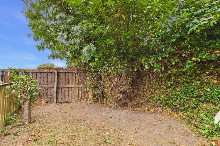 Outside - Picture 16 of 18