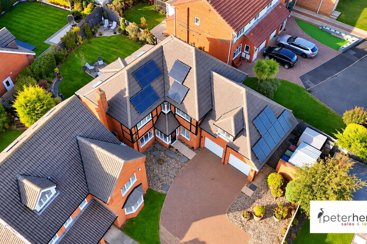 Aerial Shot - Picture 63 of 64