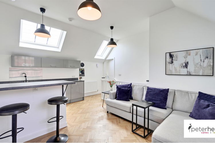 Open Plan Lounge and Kitchen - Picture 6 of 21