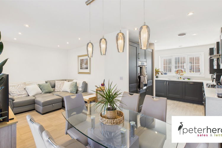 Open Plan Kitching & Living Area - Picture 7 of 32
