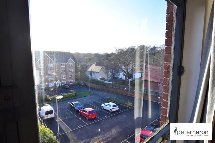 DSC_0276.jpg - Picture 6 of 6