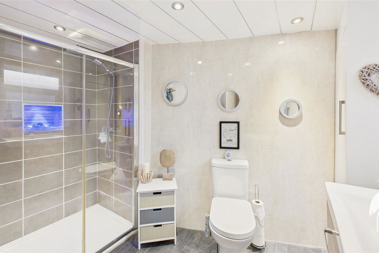 Shower Room - Picture 18 of 19