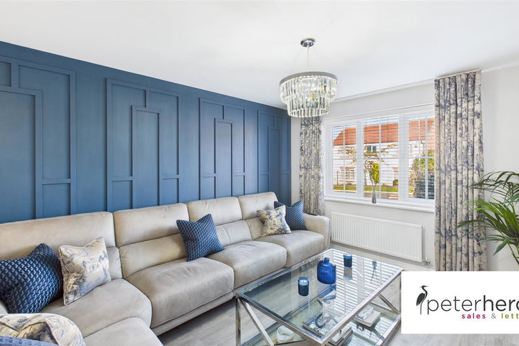 Lounge - Picture 2 of 37