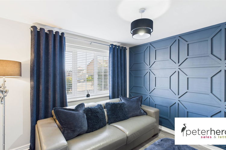 Snug - Picture 4 of 37