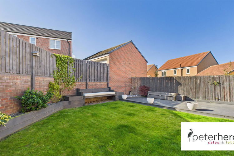 Outside - Picture 34 of 37