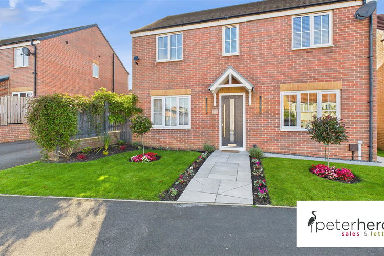 Outside - Picture 37 of 37