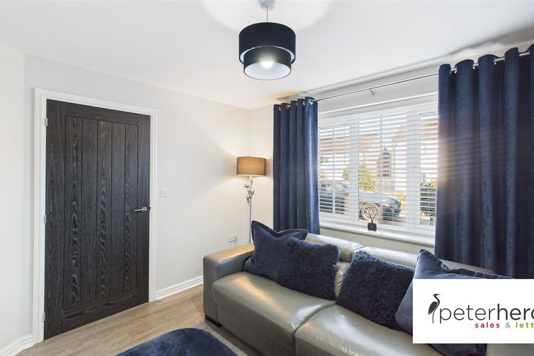 Snug - Picture 5 of 37