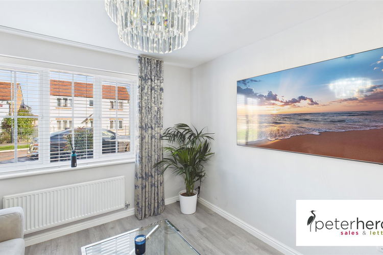 Snug - Picture 6 of 37