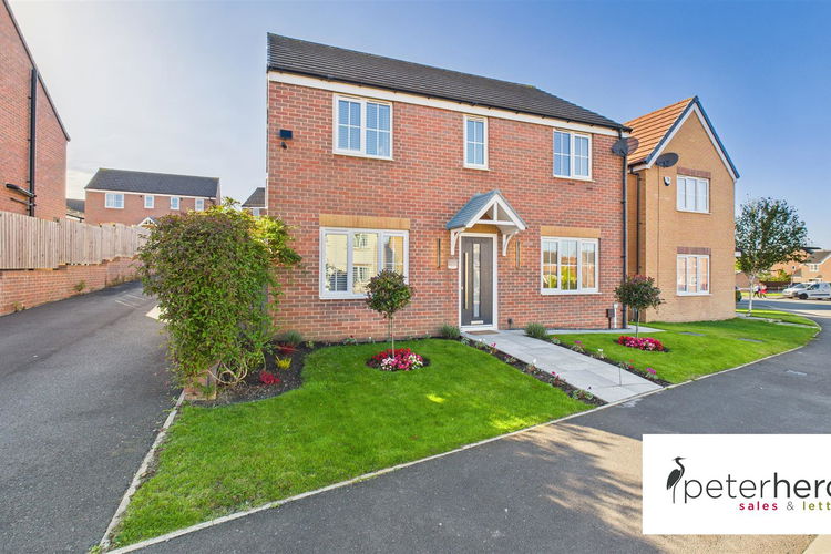 CAM05632G0-PR0061-STILL041.jpg - Picture 1 of 37