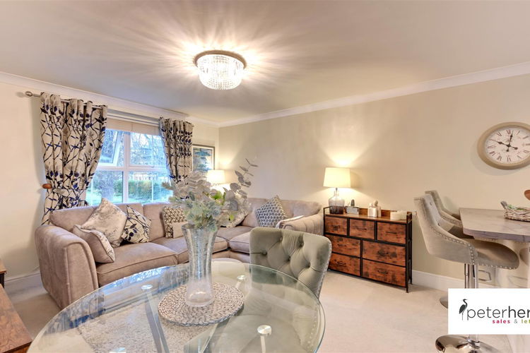 Open Plan Living Room/Kitchen - Picture 2 of 14