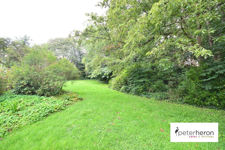 Outside - Picture 2 of 19