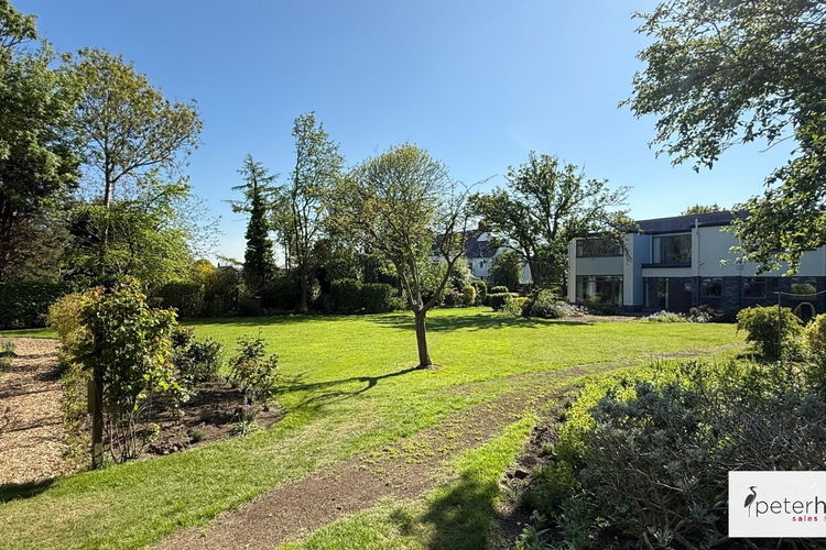 Rear Exterior - Picture 29 of 41